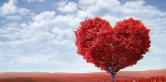 Le Conseil – Soyez calme et en paix